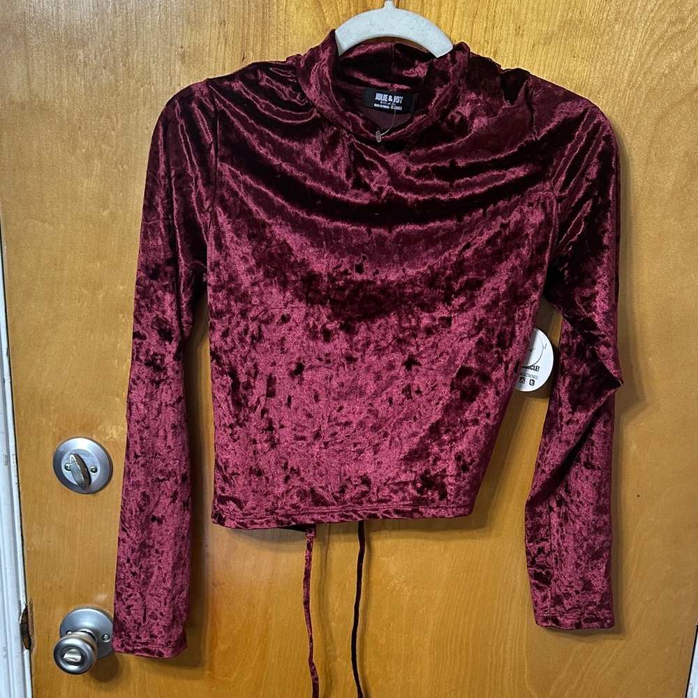 Elegant Velvet Long Sleeve Blouse
